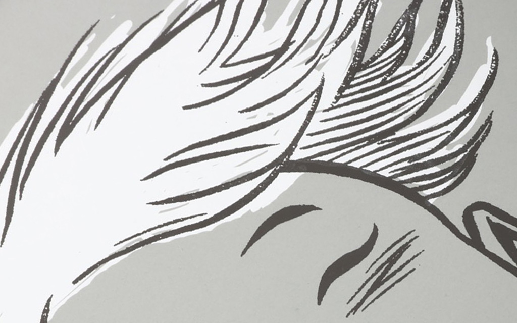 Agenzia di Comunicazione Publifarm | Pure Creative Agency La serigrafia 2015 è firmata da Davide Toffolo 1