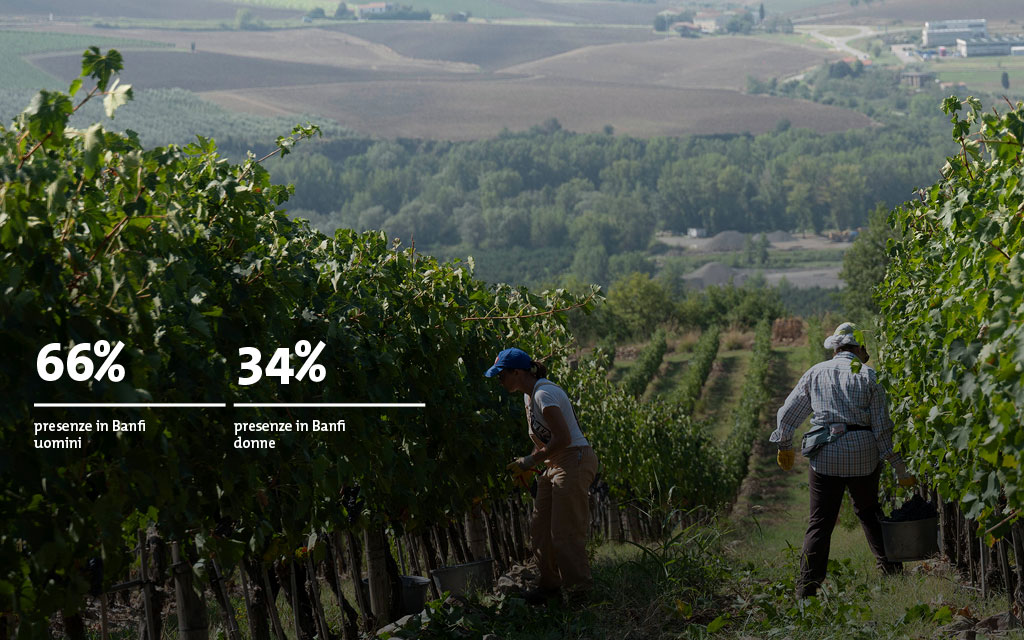 Agenzia di Comunicazione Publifarm | Pure Creative Agency Bilancio di sostenibilità Banfi 2019 1