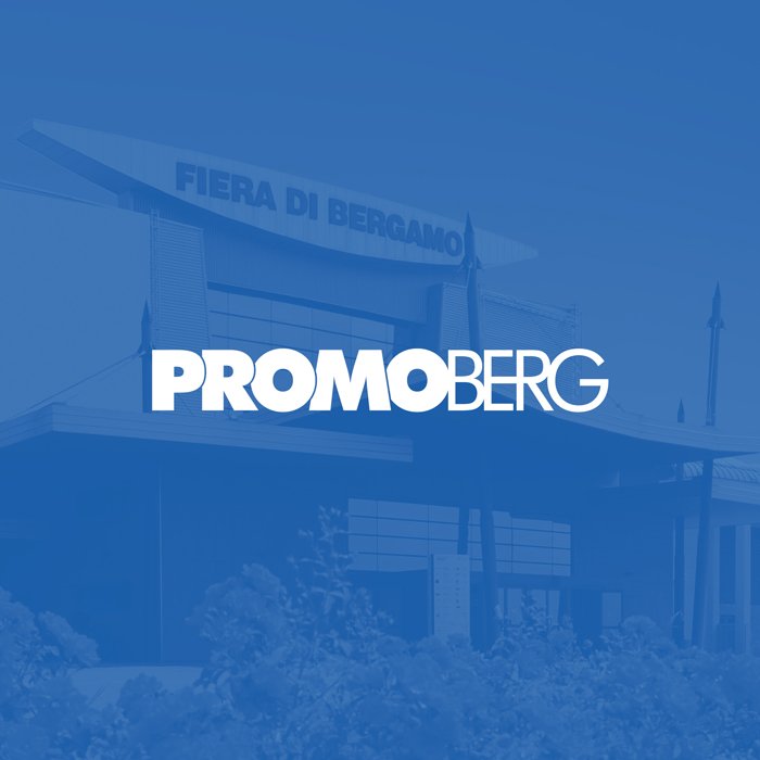 Web-Agency-Bergamo-Caso-Studio-Campagna-Design-Feed-Promoberg