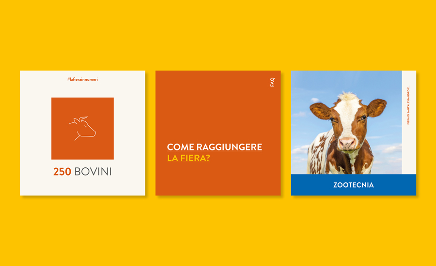 Web-Agency-Bergamo-Social-Media-Trittico-Feed-Fiera