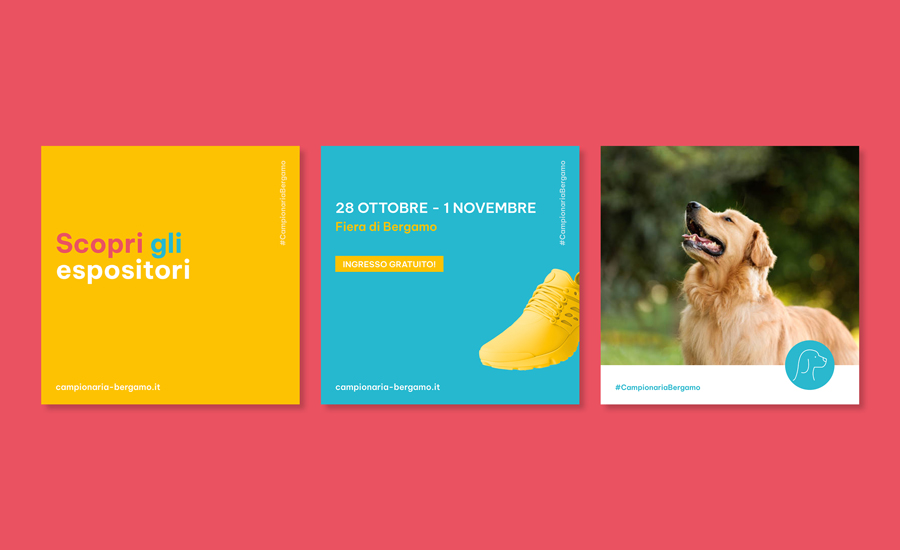 Web-Agency-Bergamo-Social-Media-Feed-Campionaria