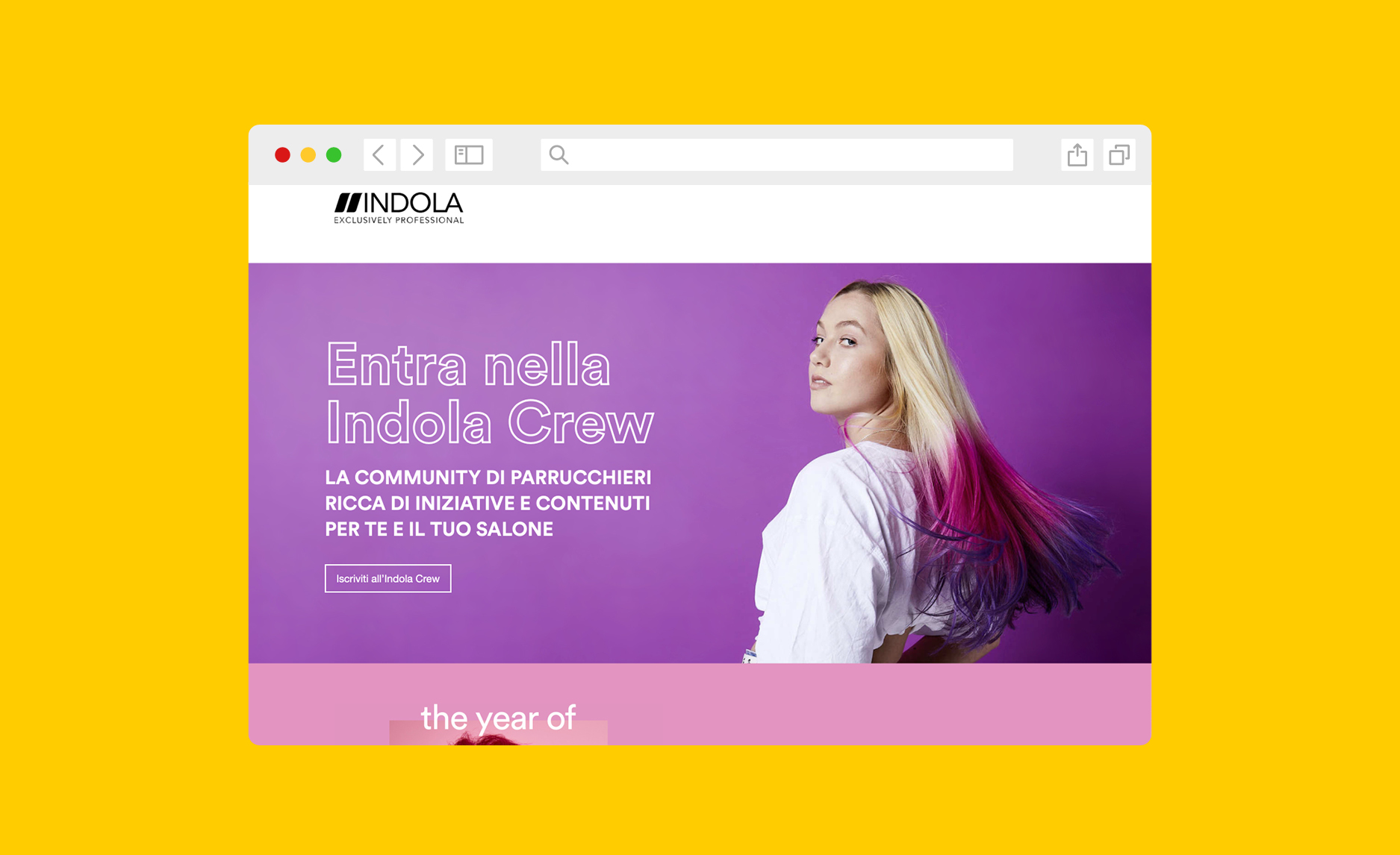 Digital-Marketing-Bergamo-Agenzia-Landing-Page-Indola