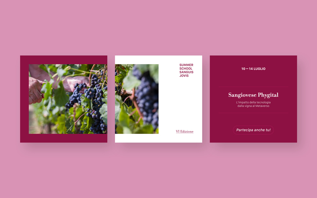 Publifarm-sponsor-Sanguis-Jovis-Summer-School-Fondazione-Banfi-7