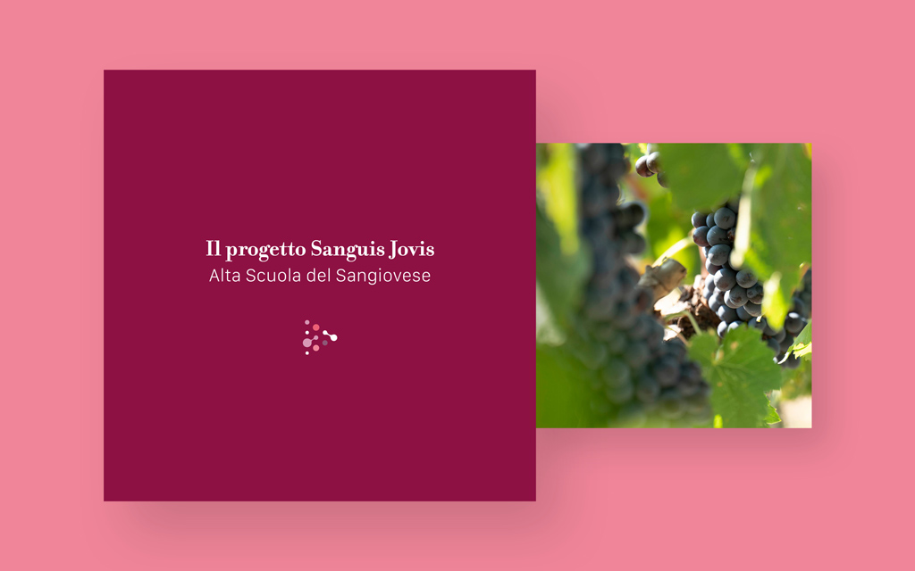 Publifarm-sponsor-Sanguis-Jovis-Summer-School-Fondazione-Banfi-6