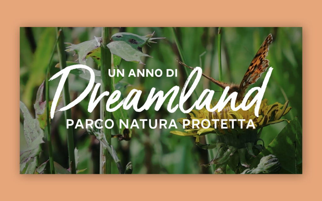 Agenzia di Comunicazione Publifarm | Pure Creative Agency Un sogno che diventa realtà: il video per Dreamland, l’area naturale protetta di Legami  1