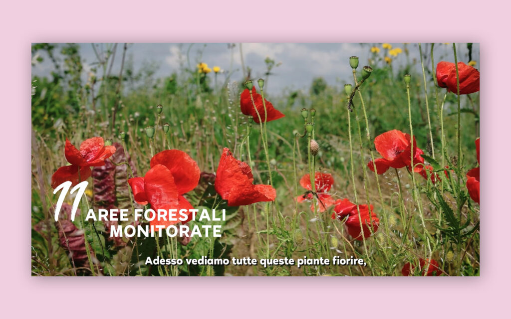 Agenzia di Comunicazione Publifarm | Pure Creative Agency Un sogno che diventa realtà: il video per Dreamland, l’area naturale protetta di Legami  1