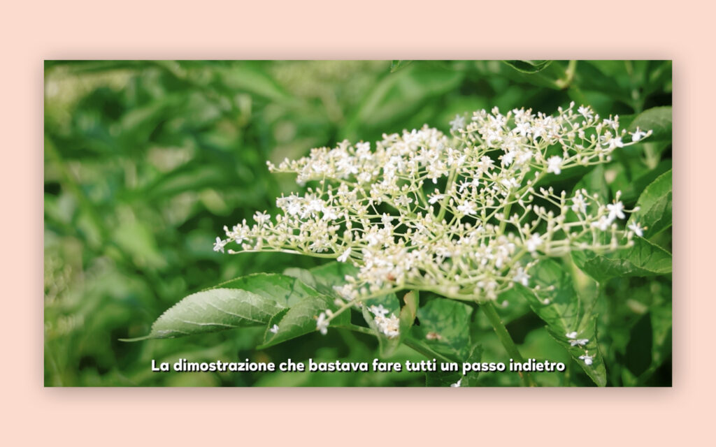 Agenzia di Comunicazione Publifarm | Pure Creative Agency Un sogno che diventa realtà: il video per Dreamland, l’area naturale protetta di Legami  1