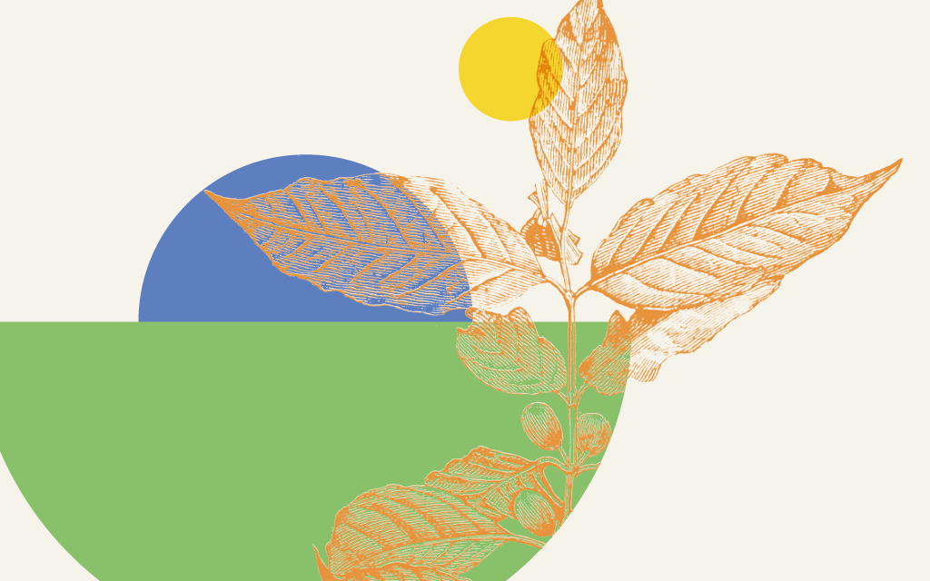 Agenzia di Comunicazione Publifarm | Pure Creative Agency Le tre anime del Report di sostenibilità del gruppo VEA 1