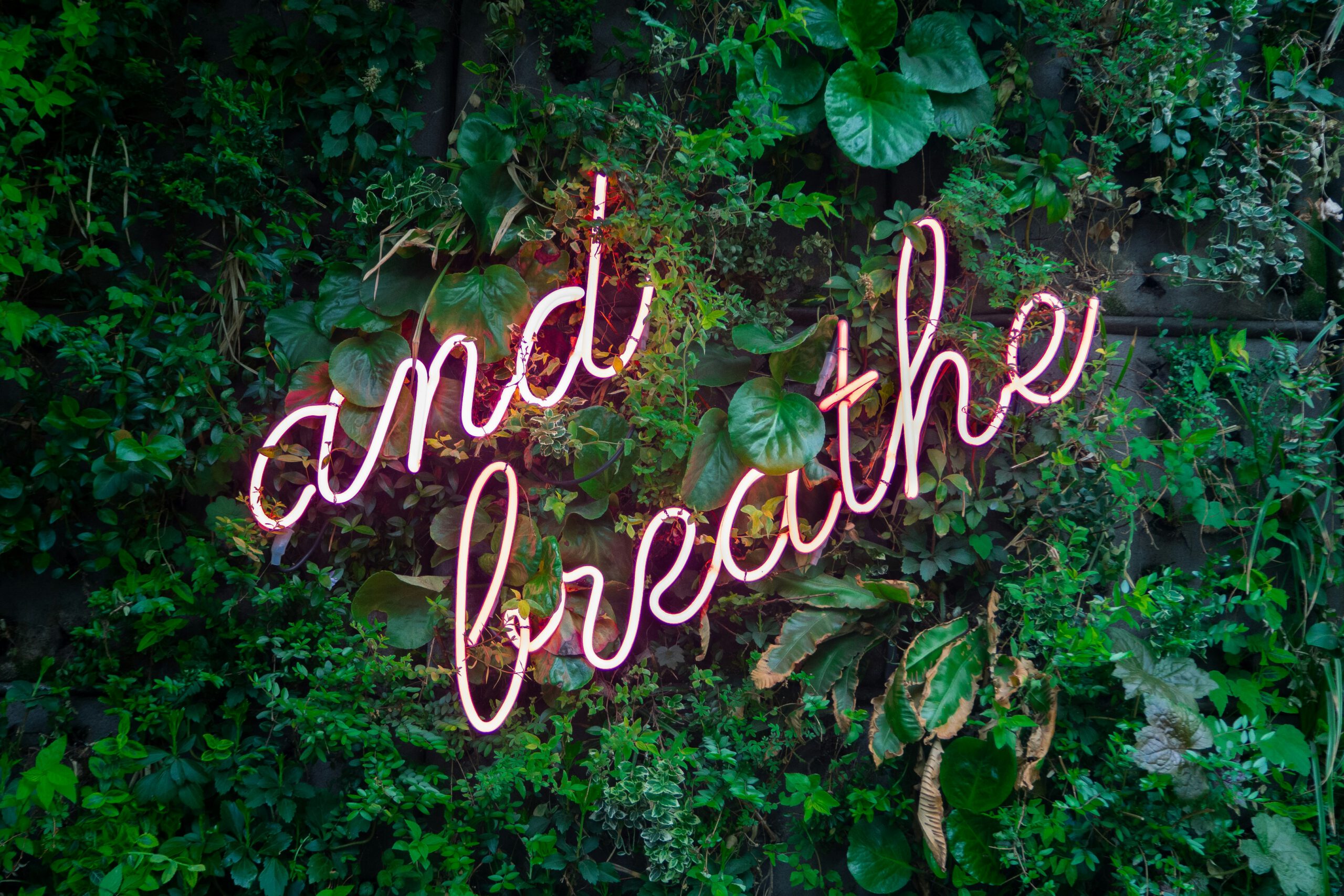 Newsletterina #35 | Refresh